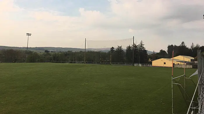 Tadhg MacCarthaigh's field of dreams hits all the right notes to win Pitch Perfect Image