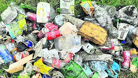 Council opens waste sites but dumping continues Image
