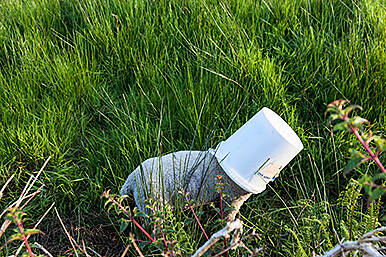 A baaa-d day rescued for little lamb who got head stuck in feeding bucket Image