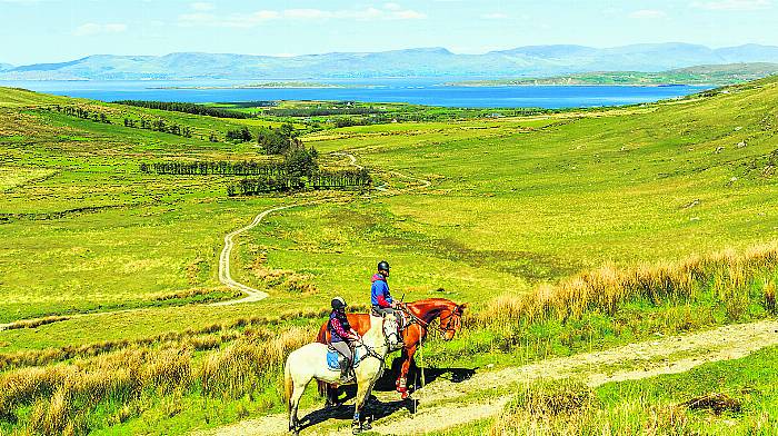 Beara ready to host first horse trail in Ireland Image