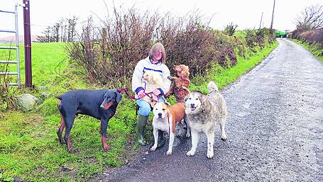 West Cork generosity comes to rescue of Anita and her ‘family’ Image
