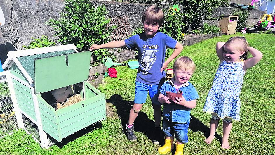 McCarthy kids taking egg-cellent care of St Patrick’s school garden Image