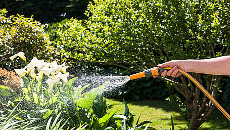 Hosepipe ban now likely Image