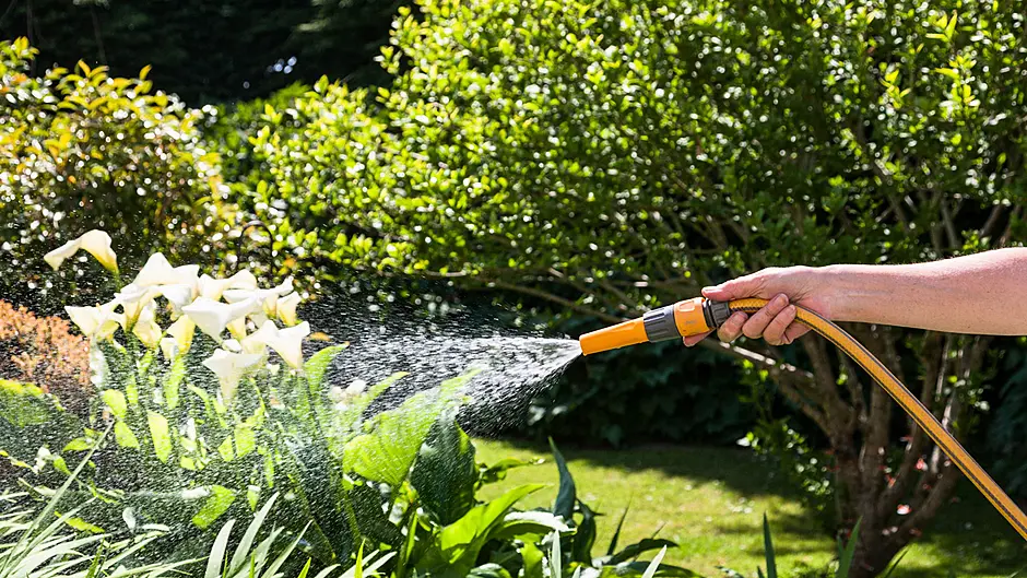 Hosepipe ban now likely Image