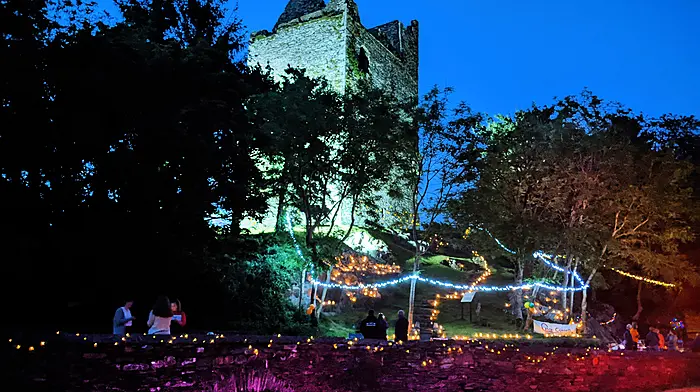 Ballinacarriga lit up spectacularly for a number of worthy causes Image