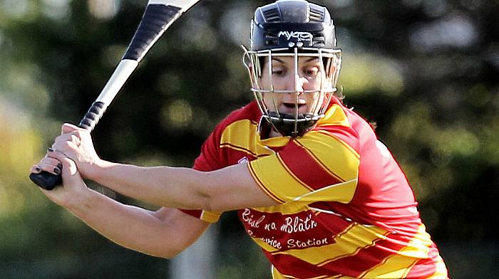 Newcestown and Carbery discover opponents in county senior camogie championship Image