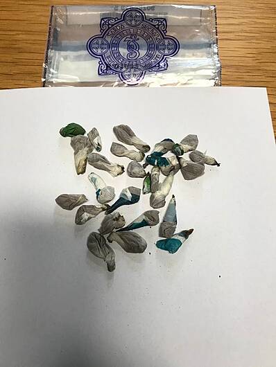 Gardaí seize €1,000 worth of heroin in Bandon Image