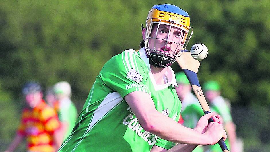 ‘If Darren Sweetnam stayed hurling, Patrick Horgan would have his All-Ireland medal’ Image