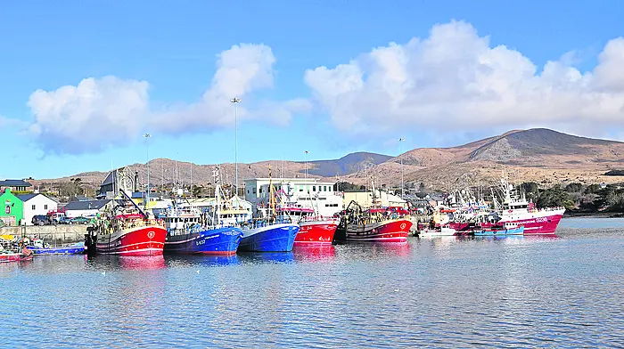 Cowen must tackle fish prices as a priority Image