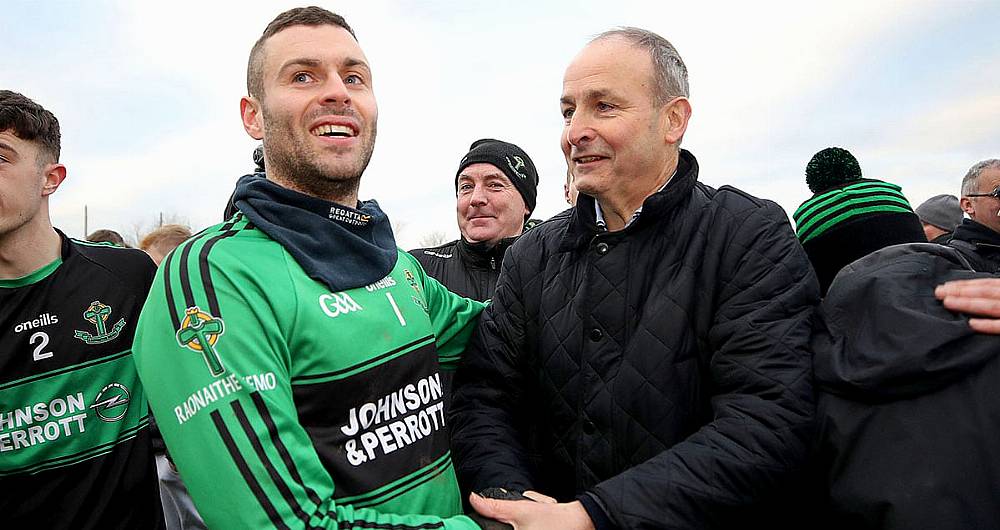 DENIS HURLEY COLUMN: The worlds of sport and politics are so entwined in Ireland Image