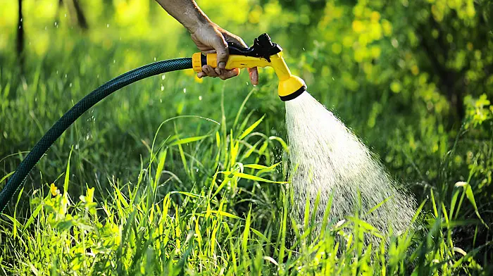 Irish Water lifts hosepipe ban Image