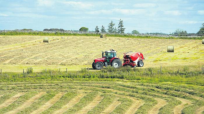 Average farm income up 2% on last year, says Teagasc Image