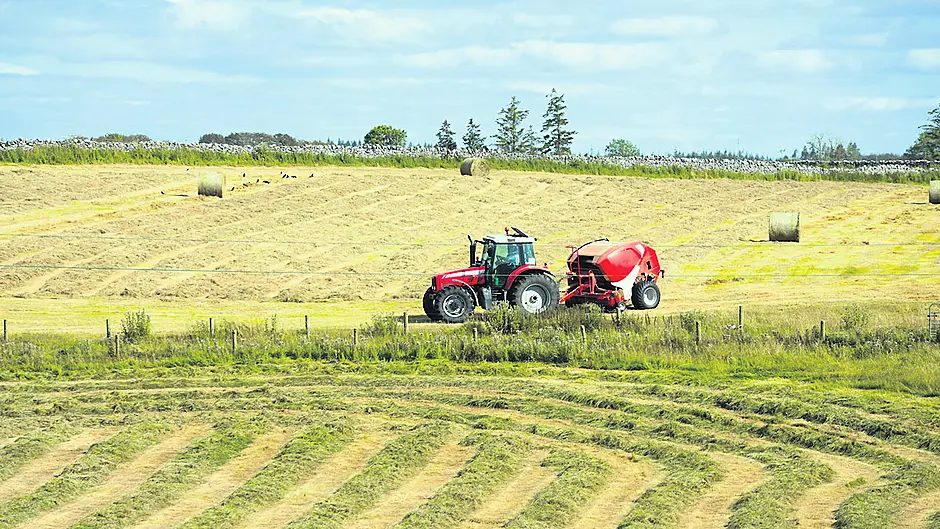 Average farm income up 2% on last year, says Teagasc Image