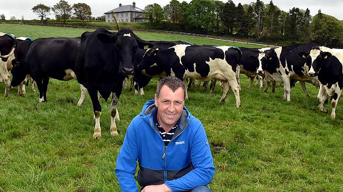 Making his mark with move to dairy Image