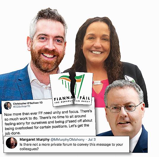 Former TD reacts sharply to tweet from new deputy Image