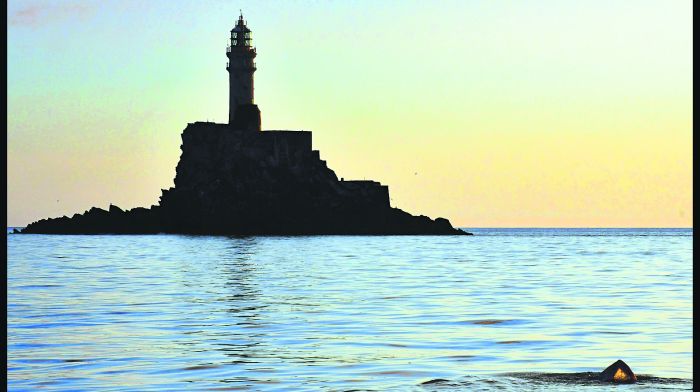 Slight sting in the tail to ace swimmer Steve’s record-breaking Fastnet feat Image