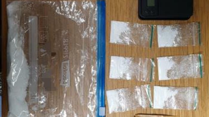 Cocaine and cash seized by gardaí in Ballinhassig Image