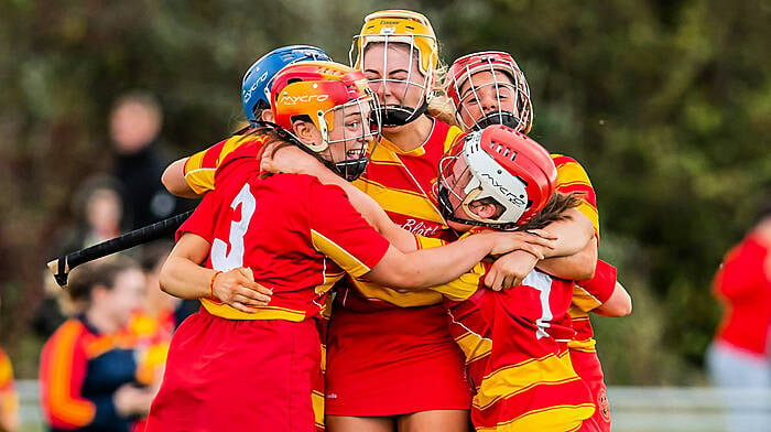 Newcestown trailblazers are keen to brew up another camogie storm this season Image