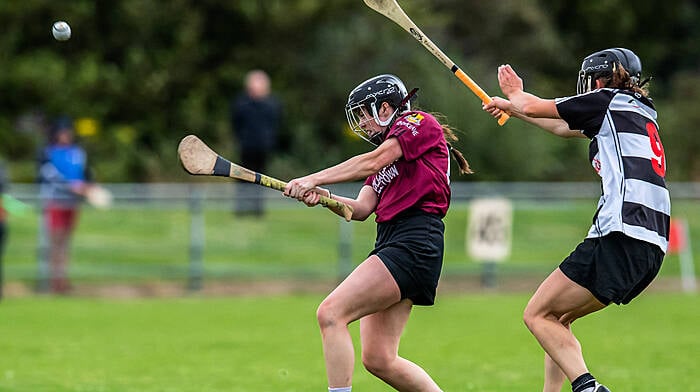 Enniskeane signal their intermediate camogie intentions Image