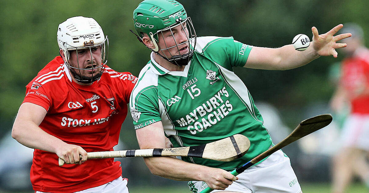 Goals prove decisive as Carbery hurling champions Ballinascarthy hang ...