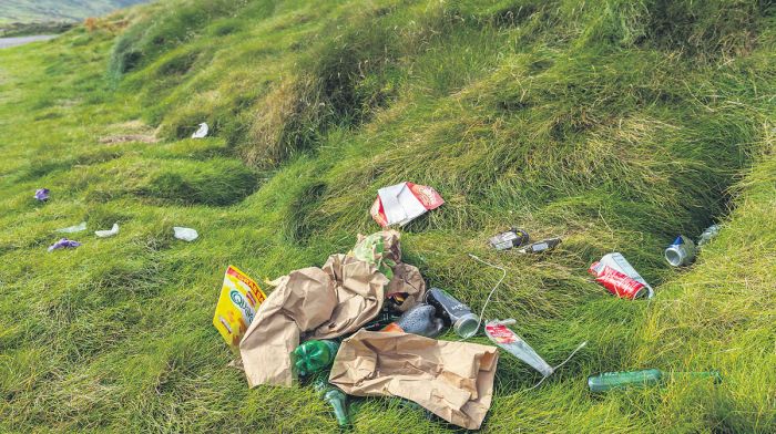 Dumping of litter on our beaches and strands is a major problem Image