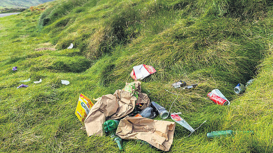 Dumping of litter on our beaches and strands is a major problem Image