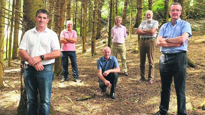 Too much ‘red tape’ for forestry growers Image