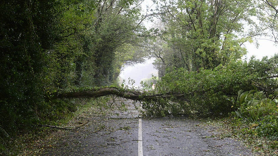 OPINION: DENIS LINEHAN. Our towns and villages are on the frontier of climate change Image