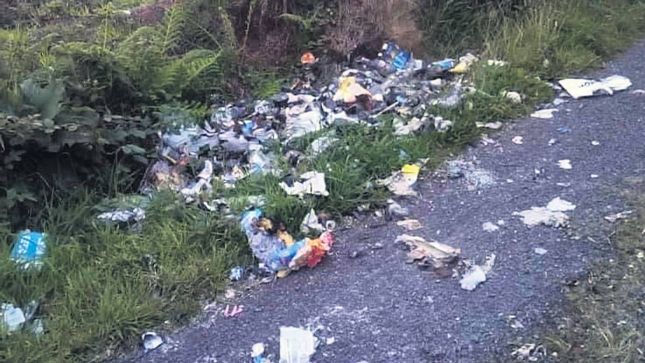 Illegal dumping is now at a ‘critical’ level in region Image