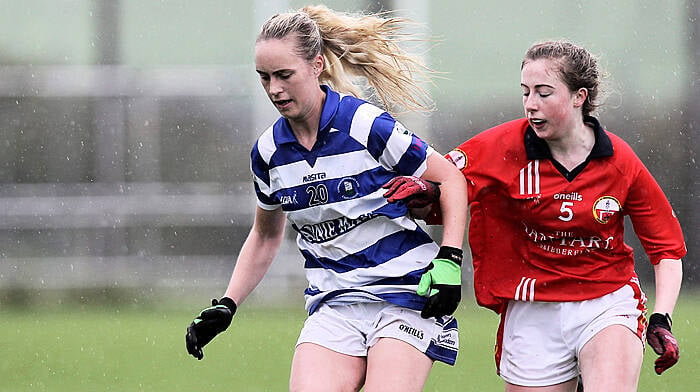 Castlehaven favourites in derby county junior B football decider against O'Donovan Rossa Image