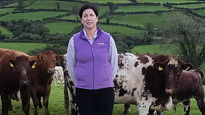 Pioneering Helen looks forward to working with the Cronin’s team Image