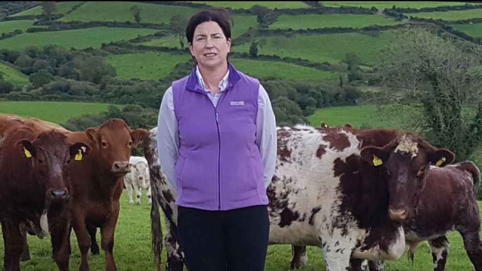 Pioneering Helen looks forward to working with the Cronin’s team Image