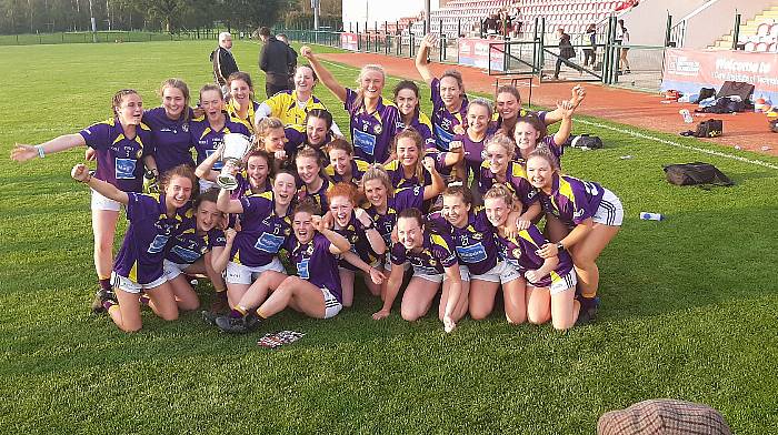 West Cork ladies crowned Celtic Ross Hotel West Cork Sports Team of the Year Award winner Image