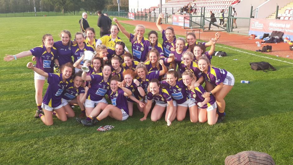 FOUR STEPS TO GLORY: How West Cork ladies won the division's first-ever county senior football title Image