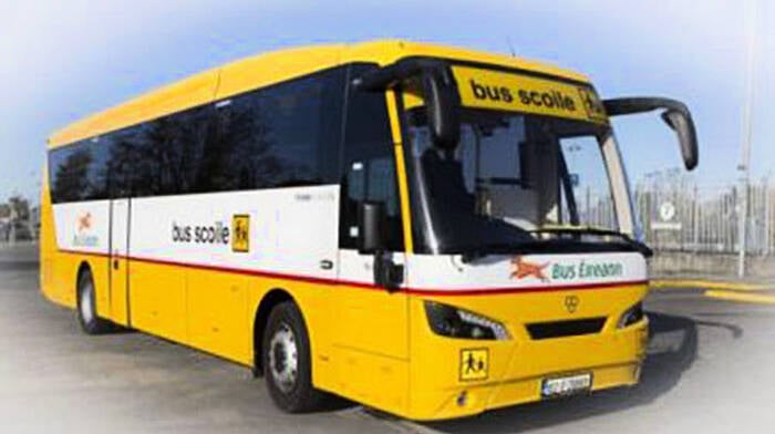 Local coach operators could help with shortage of school buses Image