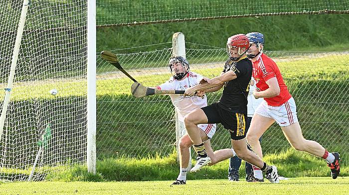 Brian Everard double inspires St Mary’s hurlers to glorious Carbery JAHC semi-final win Image