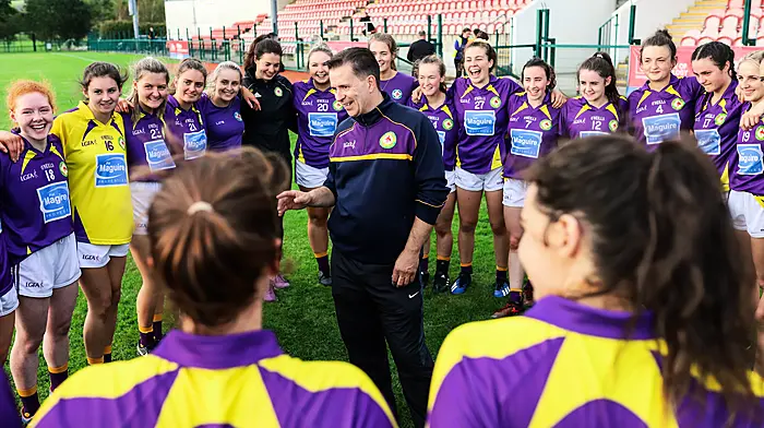 'Loss of West Cork divisional ladies team is hammer blow' Image