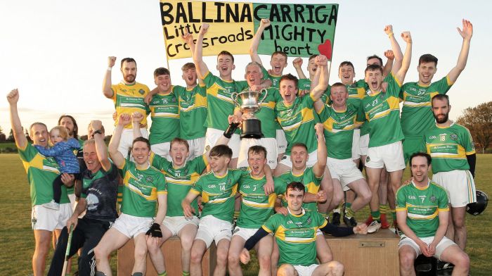 Randal Óg hurlers crowned Carbery junior B champions! Image