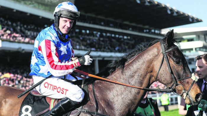 Memorable West Cork moments at the Cheltenham Festival Image