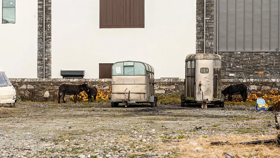 Local fury over ‘unofficial’ halting site with animals at scenic spot in Bantry Image