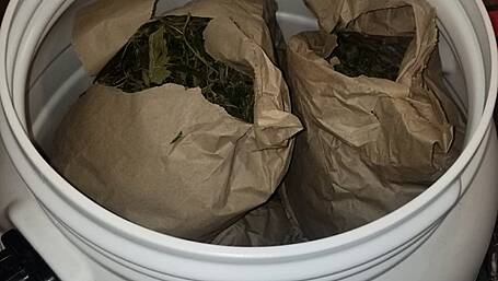 BREAKING: €300k worth of cannabis seized in Bantry area Image