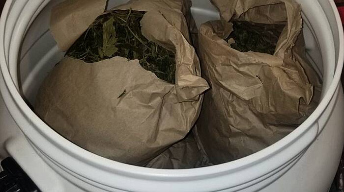 BREAKING: €300k worth of cannabis seized in Bantry area Image