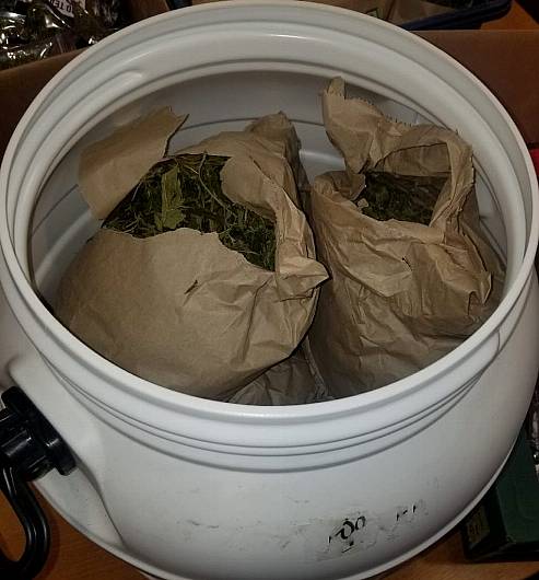 BREAKING: €300k worth of cannabis seized in Bantry area Image