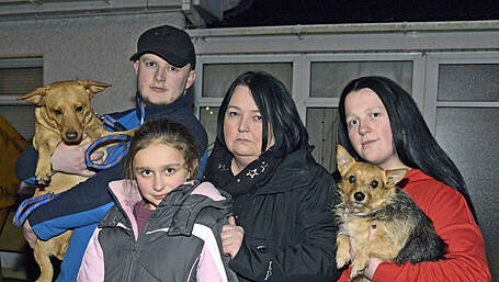 Rental crisis likely to see Clon family splitting up Image