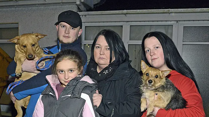 Rental crisis likely to see Clon family splitting up Image