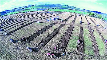 Large turnout for ploughing event Image