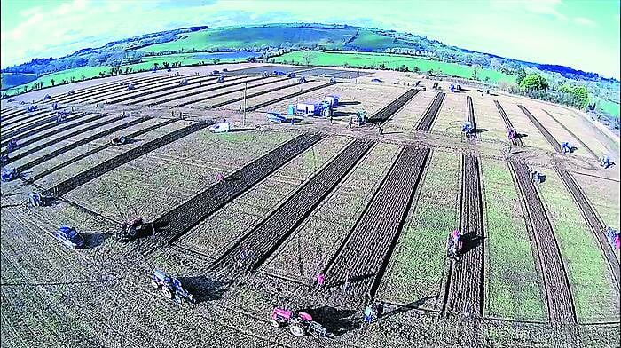 Large turnout for ploughing event Image