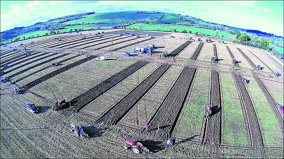 Large turnout for ploughing event Image