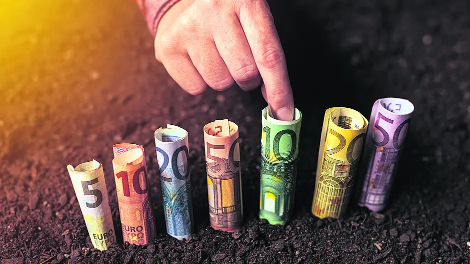 What the next government needs to deliver for farmers in 2020 Image
