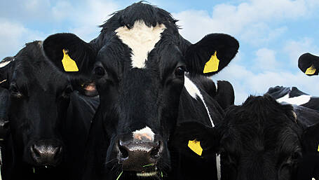 Is rural Ireland really being left behind? Well, that’s up to us Image
